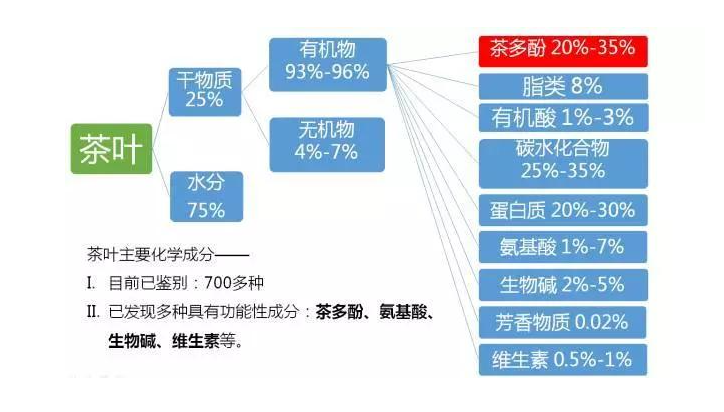 喝茶可以养生，哪种茶最健康呢？